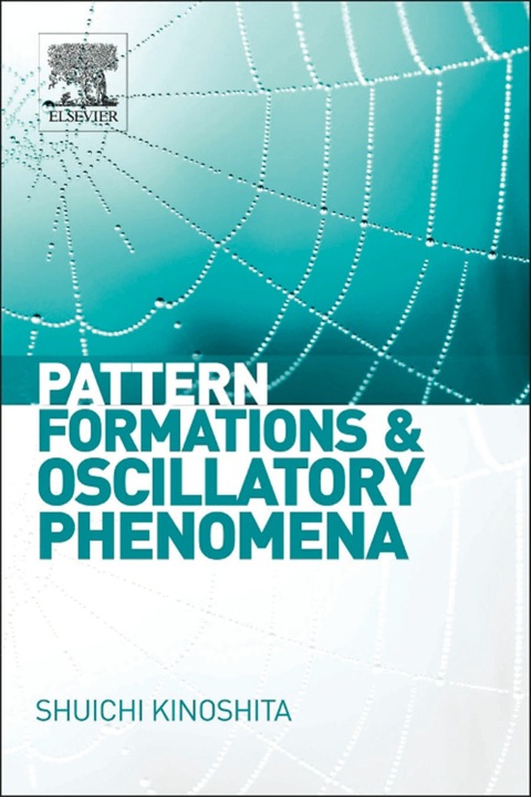 Cover image for book Pattern Formations and Oscillatory Phenomena