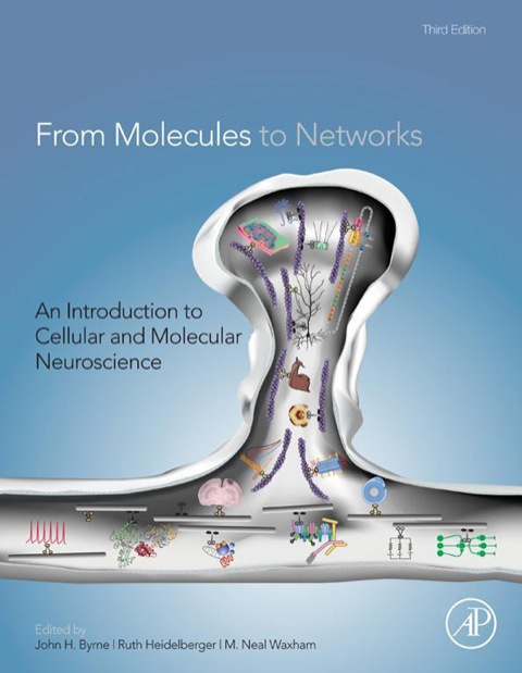 Cover image for book From Molecules to Networks: An Introduction to Cellular and Molecular Neuroscience