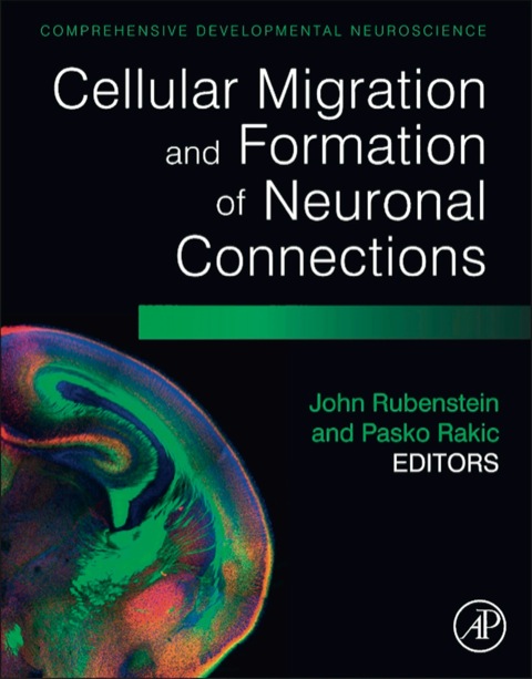 Cover image for book Cellular Migration and Formation of Neuronal Connections: Comprehensive Developmental Neuroscience
