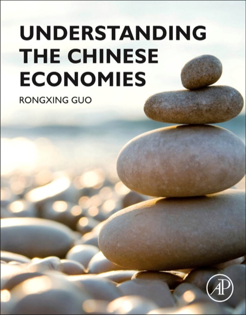 Cover image for book Understanding the Chinese Economies