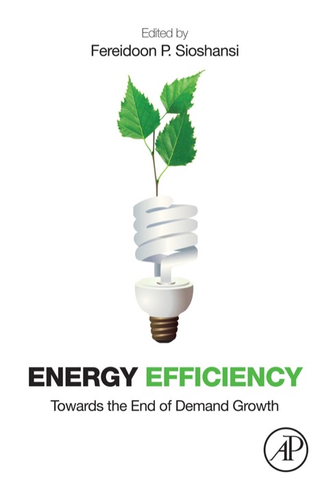 Cover image for book Energy Efficiency: Towards the End of Demand Growth