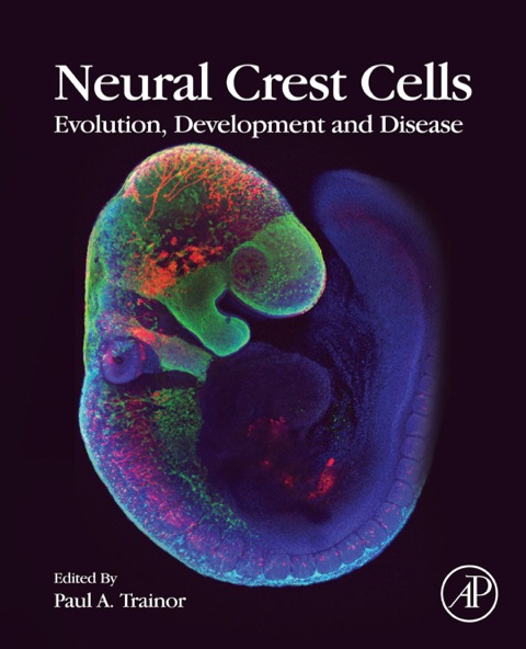 Cover image for book Neural Crest Cells: Evolution, Development and Disease