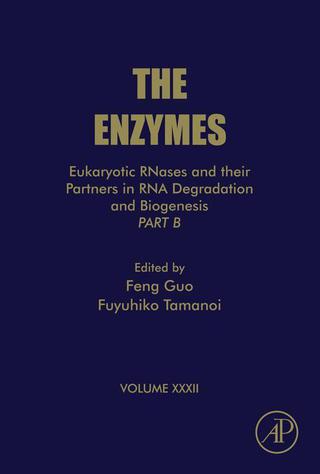 Eukaryotic RNases and Their Partners in RNA Degradation and Biogenesis: Part B