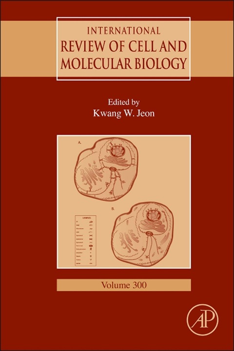 Cover image for book International Review Of Cell and Molecular Biology