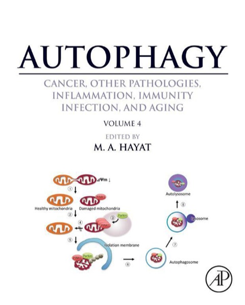 Cover image for book Autophagy: Cancer, Other Pathologies, Inflammation, Immunity, Infection, and Aging: Volume 4 - Mitophagy