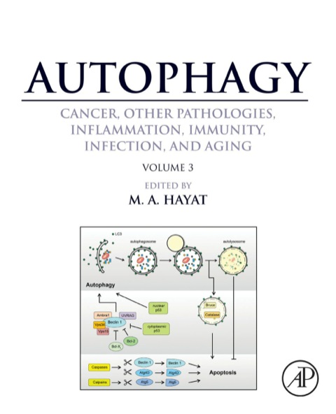 Cover image for book Autophagy: Cancer, Other Pathologies, Inflammation, Immunity, Infection, and Aging: Volume 3 - Role in Specific Diseases
