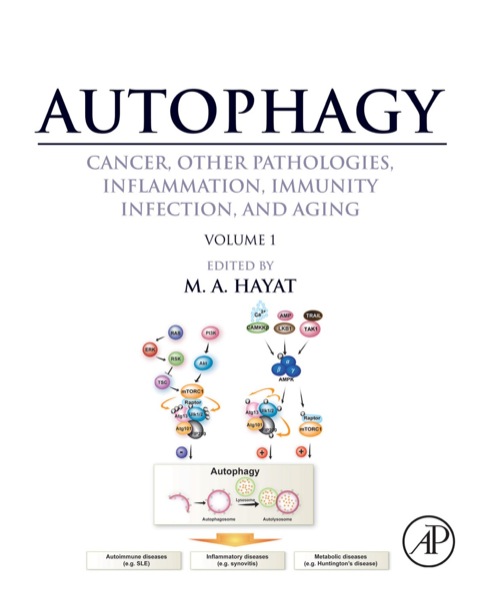 Cover image for book Autophagy: Cancer, Other Pathologies, Inflammation, Immunity, Infection, and Aging: Volume 1 - Molecular Mechanisms
