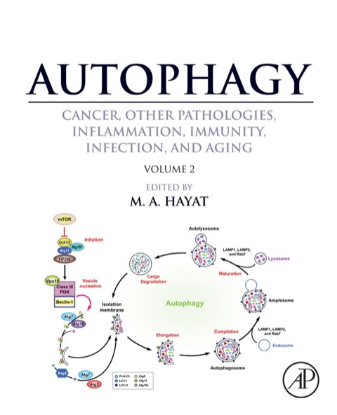 Cover image for book Autophagy: Cancer, Other Pathologies, Inflammation, Immunity, Infection, and Aging: Volume 2 - Role in General Diseases