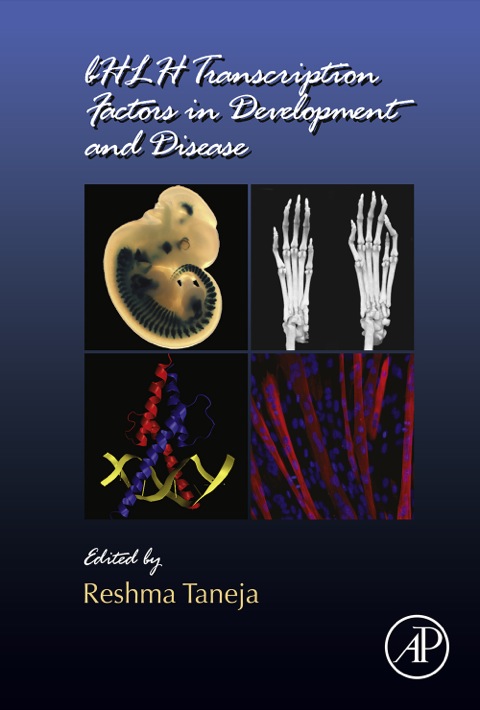 Cover image for book bHLH Transcription Factors in Development and Disease
