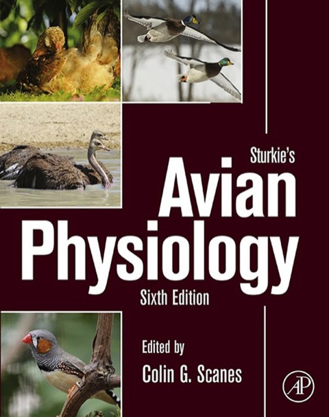 Cover image for book Sturkie's Avian Physiology