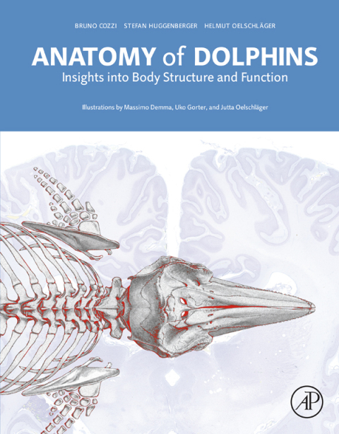 Cover image for book Anatomy of Dolphins