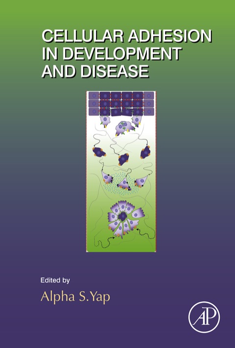 Cover image for book Cellular Adhesion in Development and Disease