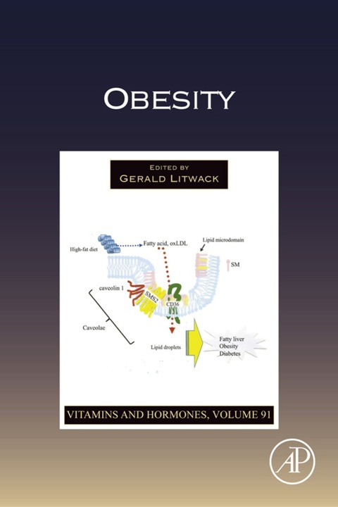 Cover image for book Obesity