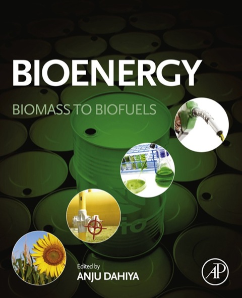 Cover image for book Bioenergy: Biomass to Biofuels