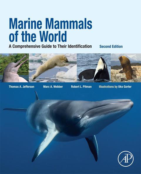 Cover image for book Marine Mammals of the World: A Comprehensive Guide to Their Identification