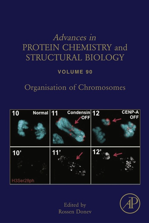 Cover image for book Organisation of Chromosomes
