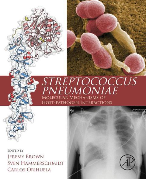 Cover image for book Streptococcus Pneumoniae: Molecular Mechanisms of Host-Pathogen Interactions
