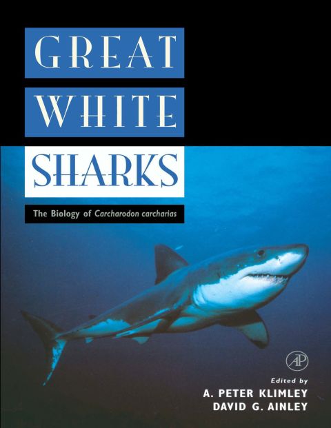 Cover image for book Great White Sharks: The Biology of Carcharodon carcharias