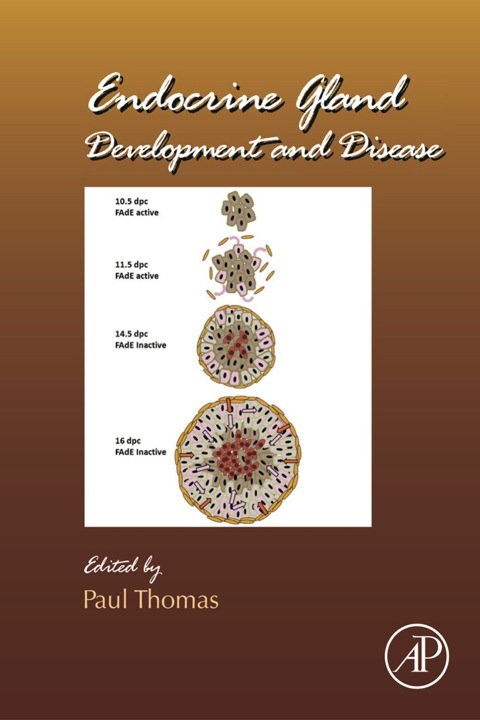 Cover image for book Endocrine Gland Development and Disease
