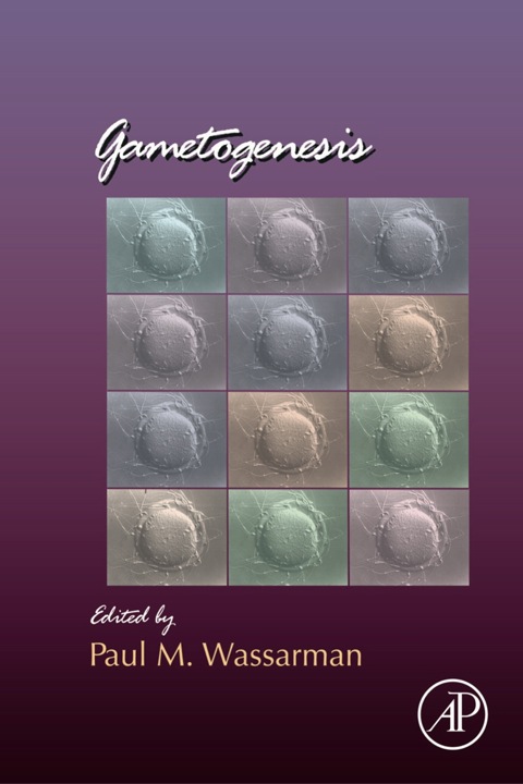 Cover image for book Gametogenesis