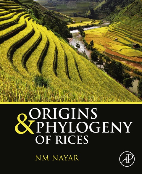 Cover image for book Origins and Phylogeny of Rices