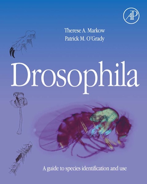 Cover image for book Drosophila: A Guide to Species Identification and Use