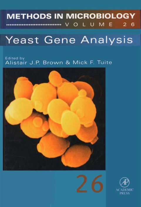 Cover image for book Yeast Gene Analysis: Yeast Gene Analysis