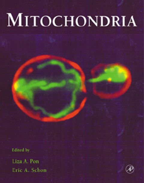 [1825 days] Mitochondria