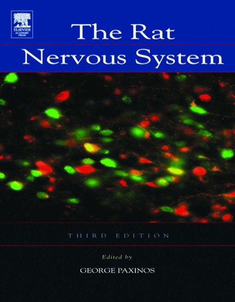 Cover image for book The Rat Nervous System