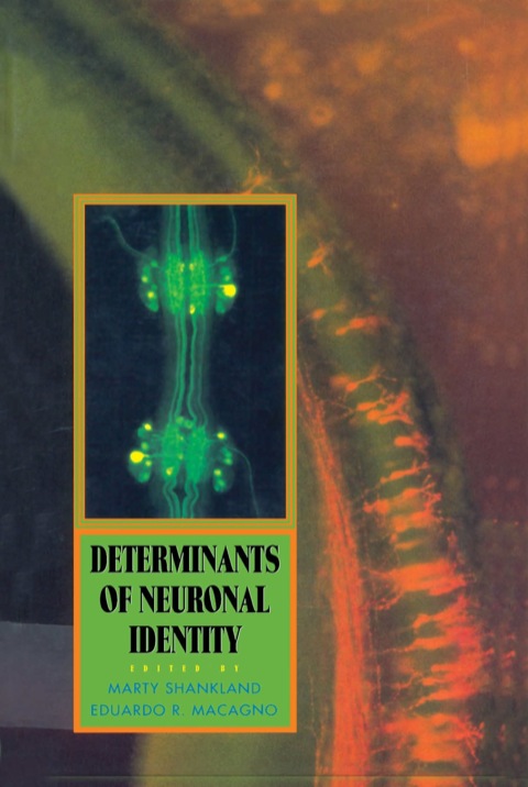 Cover image for book Determinants of Neuronal Identity