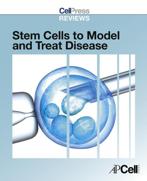 Cover image for book Cell Press Reviews: Stem Cells to Model and Treat Disease