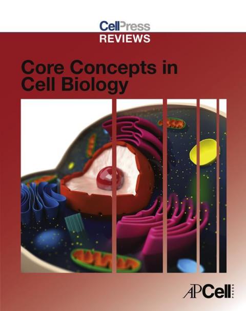 Cover image for book Cell Press Reviews: Core Concepts in Cell Biology