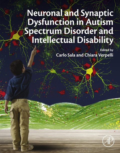 Cover image for book Neuronal and Synaptic Dysfunction in Autism Spectrum Disorder and Intellectual Disability