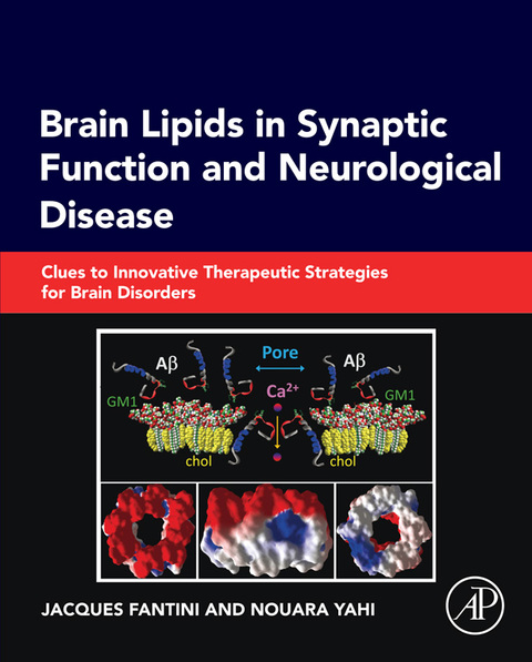 Cover image for book Brain Lipids in Synaptic Function and Neurological Disease: Clues to Innovative Therapeutic Strategies for Brain Disorders