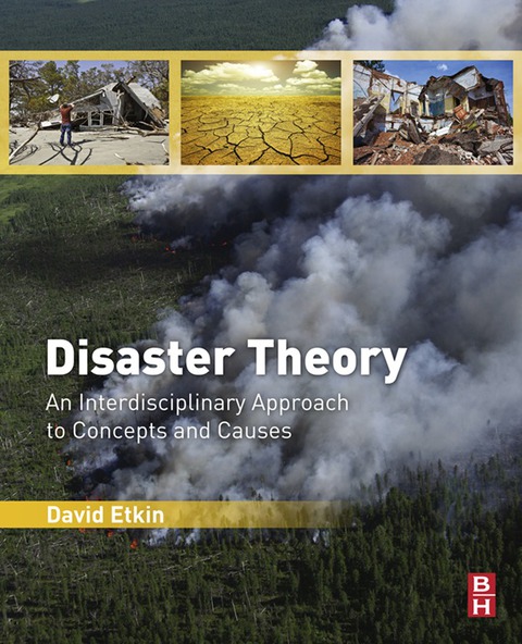 Cover image for book Disaster Theory: An Interdisciplinary Approach to Concepts and Causes