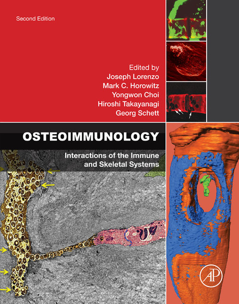 Cover image for book Osteoimmunology: Interactions of the Immune and Skeletal Systems