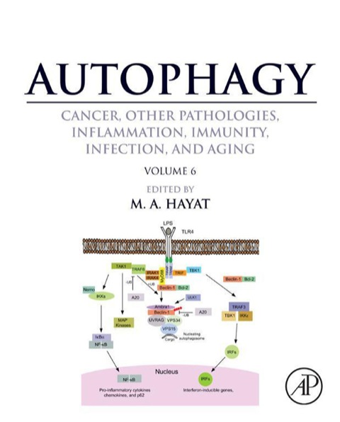 Cover image for book Autophagy: Cancer, Other Pathologies, Inflammation, Immunity, Infection, and Aging: Volume 6- Regulation of Autophagy and Selective Autophagy