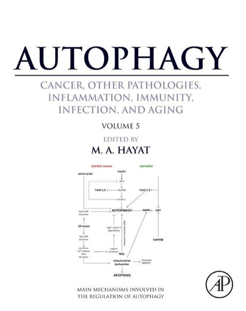 Cover image for book Autophagy: Cancer, Other Pathologies, Inflammation, Immunity, Infection, and Aging: Volume 5 - Role in Human Diseases