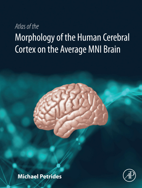 Cover image for book Atlas of the Morphology of the Human Cerebral Cortex on the Average MNI Brain