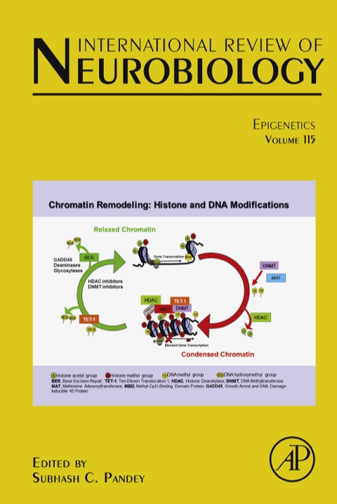 Cover image for book Epigenetics