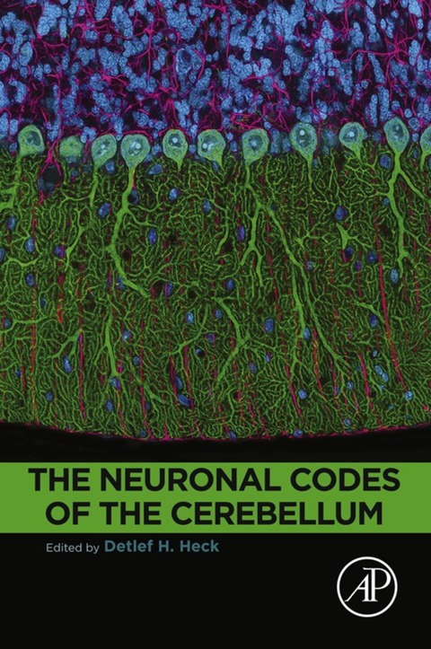 Cover image for book The Neuronal Codes of the Cerebellum