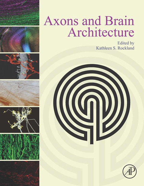 Cover image for book Axons and Brain Architecture