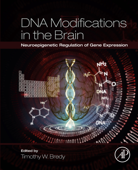 Cover image for book DNA Modifications in the Brain