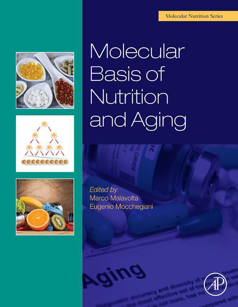 Cover image for book Molecular Basis of Nutrition and Aging: A Volume in the Molecular Nutrition Series