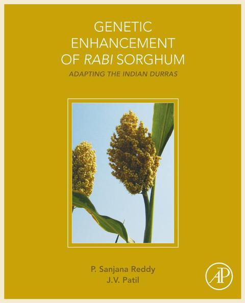 Cover image for book Genetic Enhancement of Rabi Sorghum: Adapting the Indian Durras
