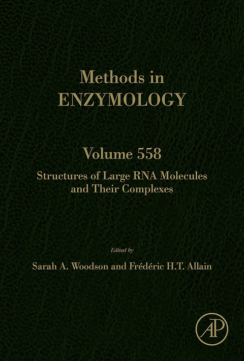 Cover image for book Structures of Large RNA Molecules and Their Complexes