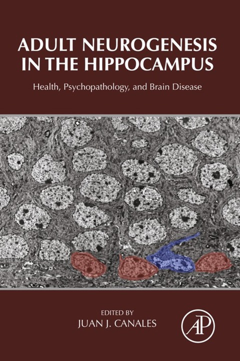 Cover image for book Adult Neurogenesis in the Hippocampus: Health, Psychopathology, and Brain Disease