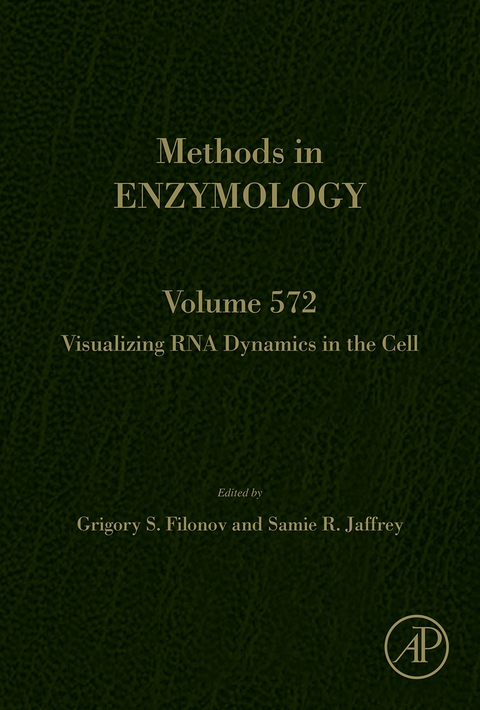 Cover image for book Visualizing RNA Dynamics in the Cell
