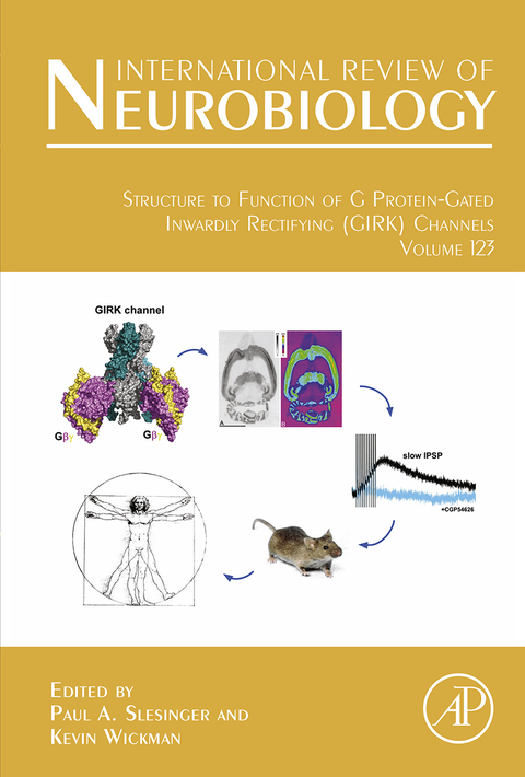 Cover image for book Structure to Function of G Protein-Gated Inwardly Rectifying (GIRK) Channels