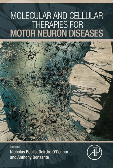 Cover image for book Molecular and Cellular Therapies for Motor Neuron Diseases